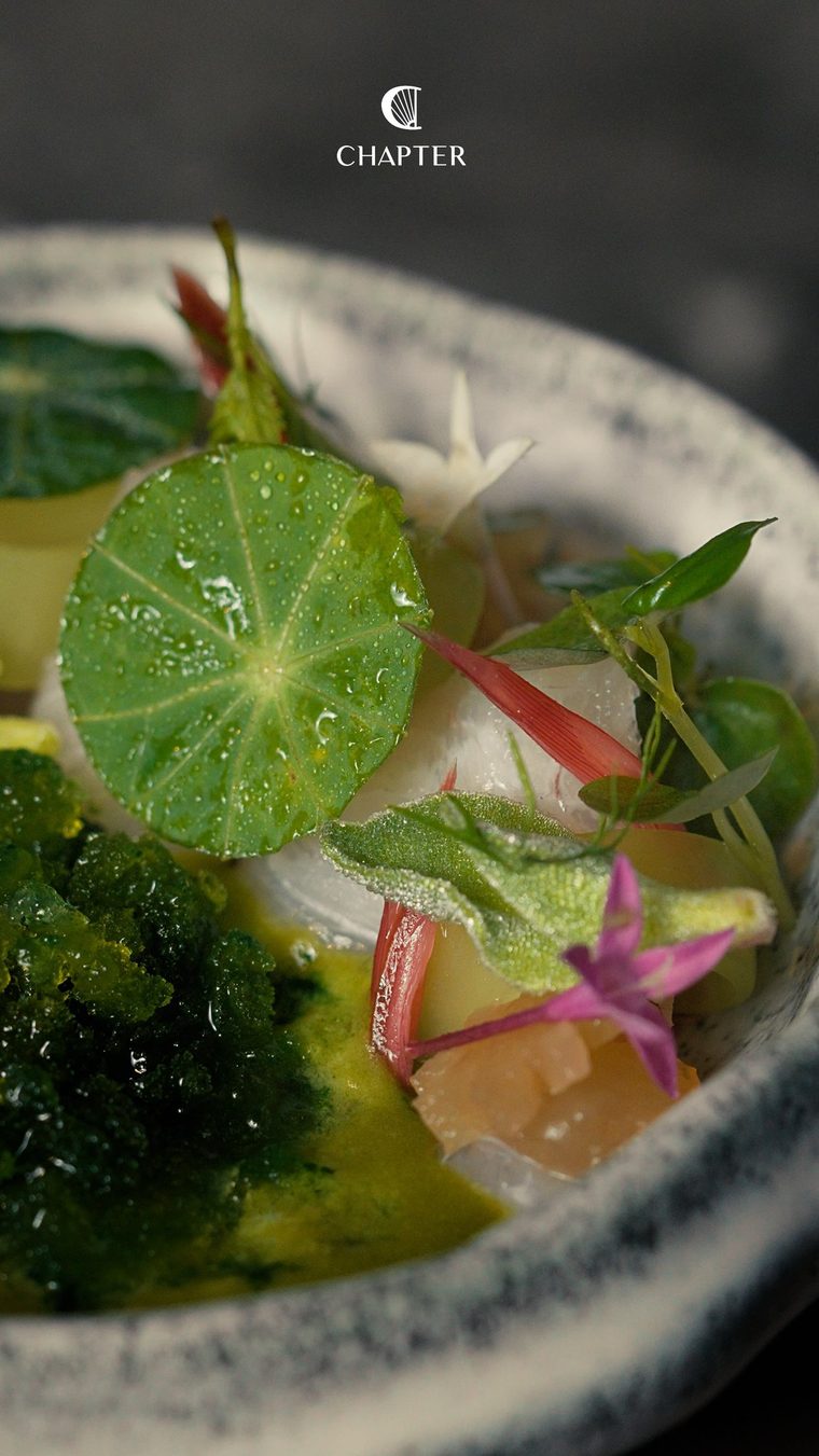 Sashimi